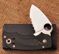 Spyderco Salsa Pepper half serrated