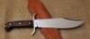Western Bowie - 2