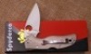 Spyderco Native Lined titanium - 2