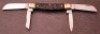 Boker/Wiss Congress - 2