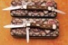 Two Case Rattlesnake bone