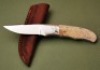 D'Holder Peoria bone hunter - 2