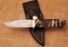 Sheep horn Tim Steinglass Hunter
