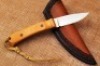 Tommy McNabb small hunter - 2
