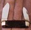 Case Elephant Toe - 2