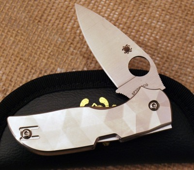 Spyderco Chaparral 2