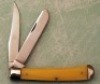 Queen Yellow Trapper - 2