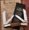 Queen Congress - 2