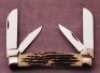 Queen Winterbottom bone Large Congress - 2