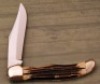 Queen Winterbottom bone Folding Hunter - 2