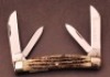 Queen Bone Congress - 2