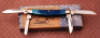 Case Blue bone congress - 2