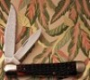 Shaw-Liebowitz Wildlife Gold Copperhead - 2