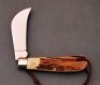 Queen Joe Pardue Hawkbill - 2