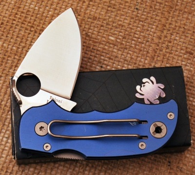 Spyderco Blue Salsa - 2