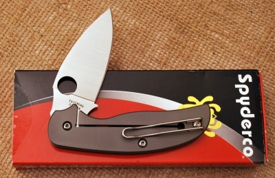 Spyderco Sage 2 Ti - 2