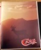 10 Different Case Catalogs - 3