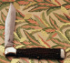 Rare Case Contract Knife-Primble C61050 - 2