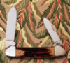 Case Stag Canoe - 2