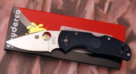 Spyderco Native 5