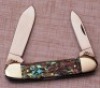 Case Script Abalone Canoe - 2