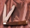 Col. Coon Smooth bone Barlow - 2