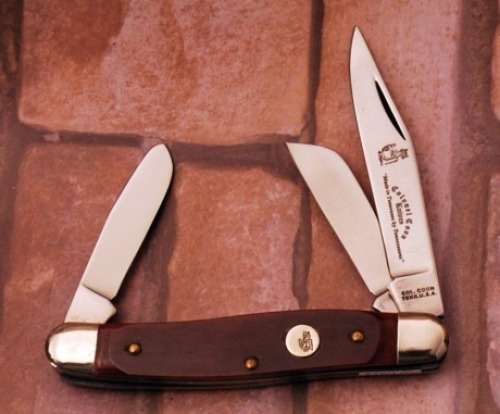 Col. Coon Smooth red Stockman