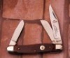 Col. Coon Smooth red Stockman