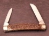 Col. Coon bone half congress