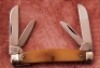 Col. Coon smooth bone congress - 2