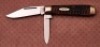 Case USA Bone 62031 1/2