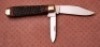 Case USA Bone 62031 1/2 - 2