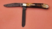 Case Damascus stag mini-trapper