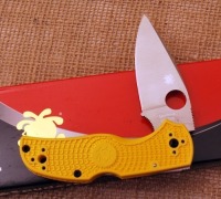 Spyderco Native 5 P Salt