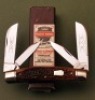 Schatt & Morgan Bone Large Congress