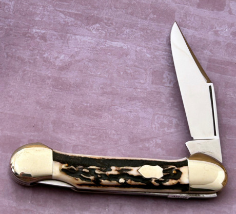 Bulldog Brand Stag Canoe Lockback