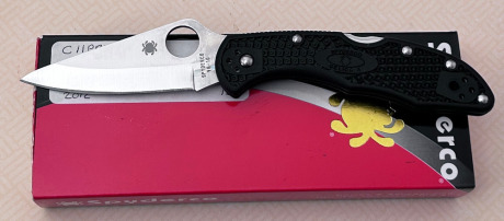 Spyderco Delica