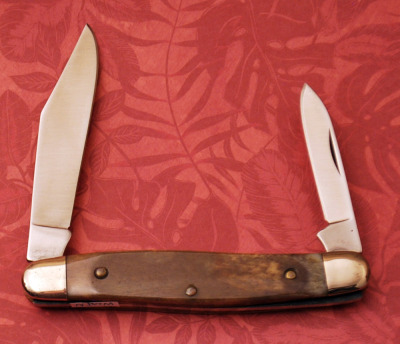 Colonel Coon Bone Two Blade stockman - 2