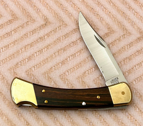 Buck USA 110 Lockback