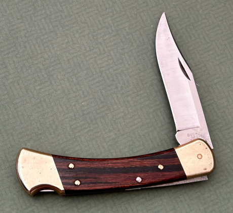 Buck USA 110 Lockback