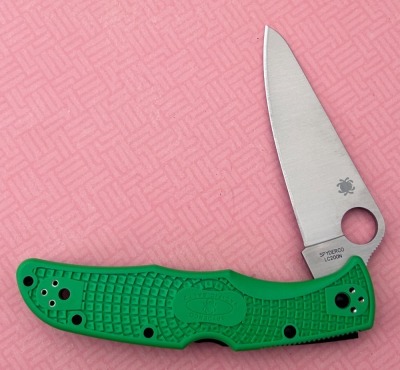 Spyderco Pacific Salt 2