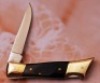 Colonel Coon Horn Lockback - 2