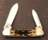 Case Chestnut Bone Baby Bean - 2