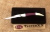 Case Purple Heart Tiny Toothpick