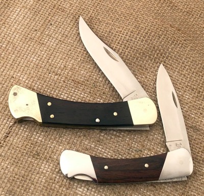 Pair of Buck - 110 and 500