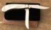 Case Pearl Saddlehorn Fort City 25th Anniversary Knife - 2