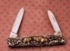 Shaw Leibowitz Sterling Bears