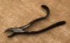 John Chevalier Dental Forceps - 2