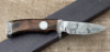 Smith & Wesson Collectors Series Proto Hunter