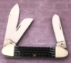 Case 6394ss Blue Bone Gunboat - 2